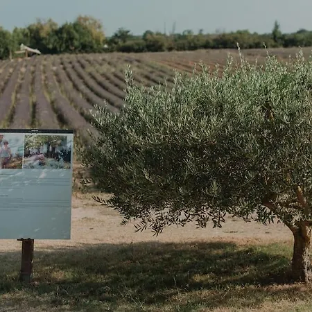 Terre Ugo - Studio Campagne Aixoise #5 Aix-en-Provence Exterior foto