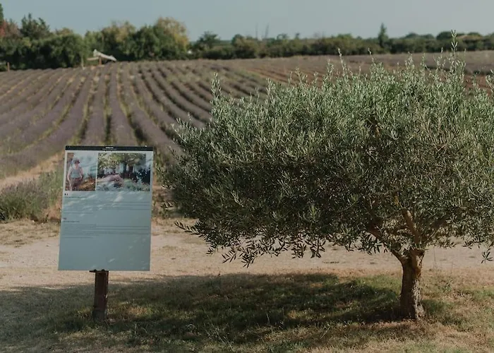 Terre Ugo - Studio Campagne Aixoise #5