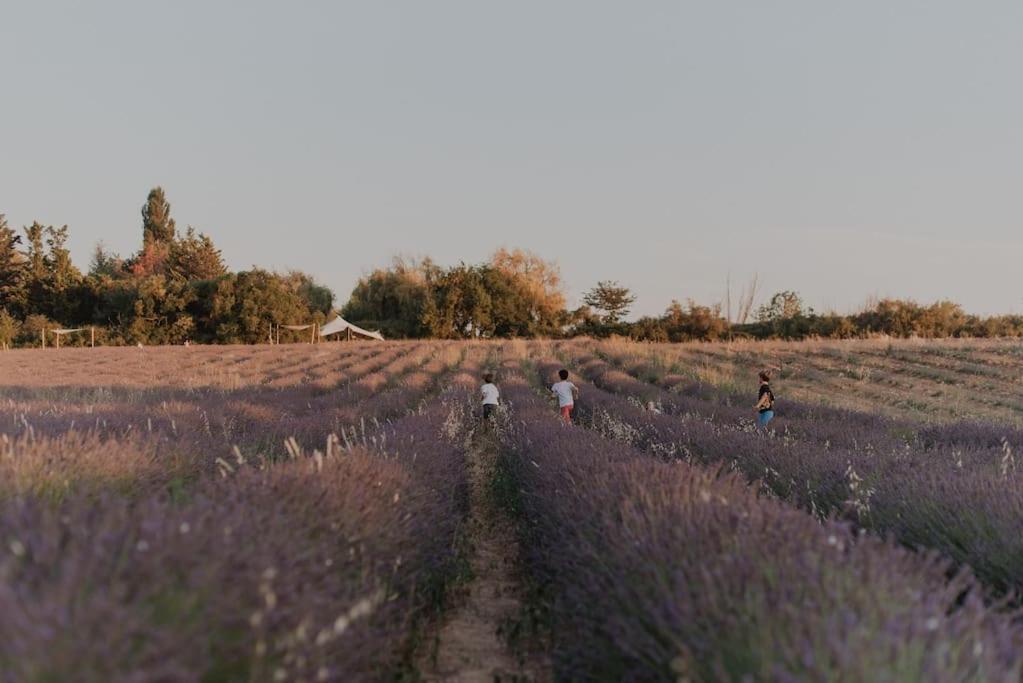 Terre Ugo - Campagne Aixoise #5 *