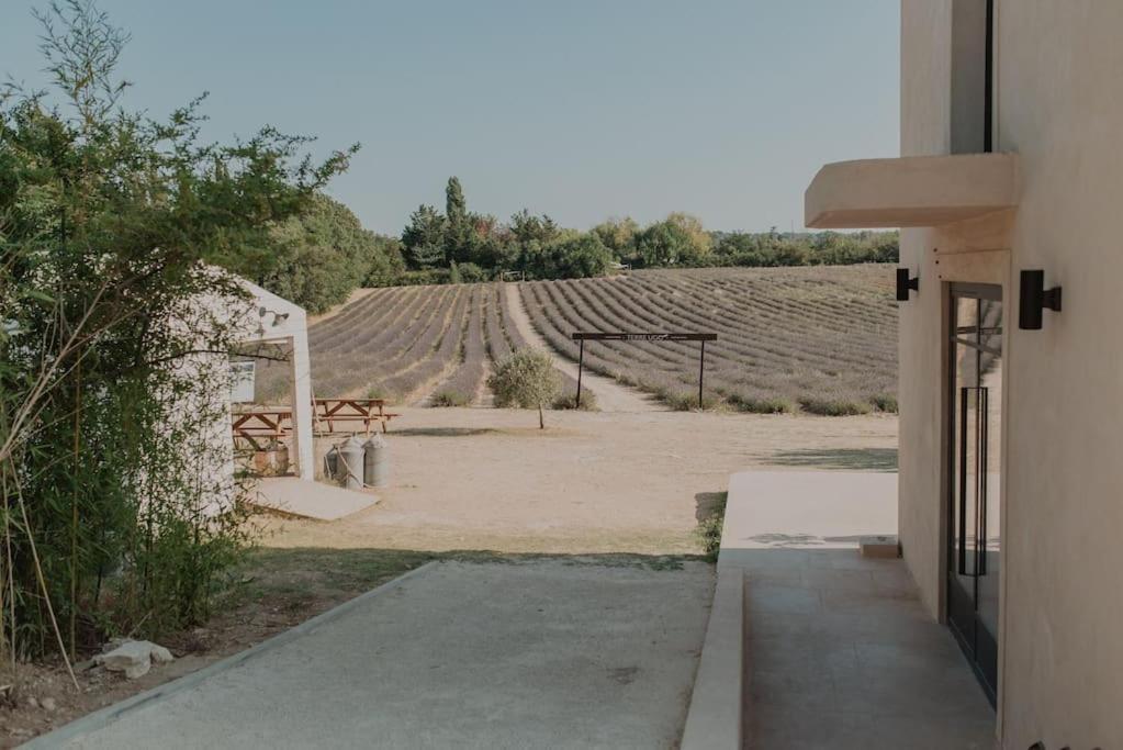 Terre Ugo - Campagne Aixoise #5 *