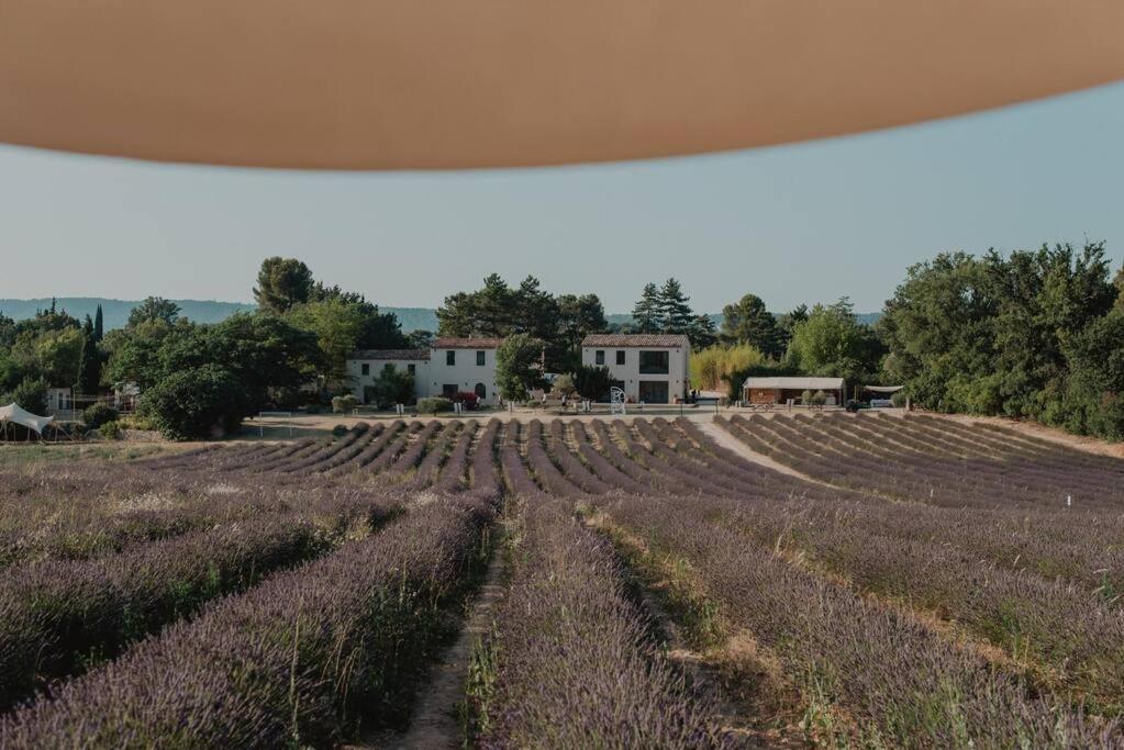 Apartment Terre Ugo - Campagne Aixoise #5